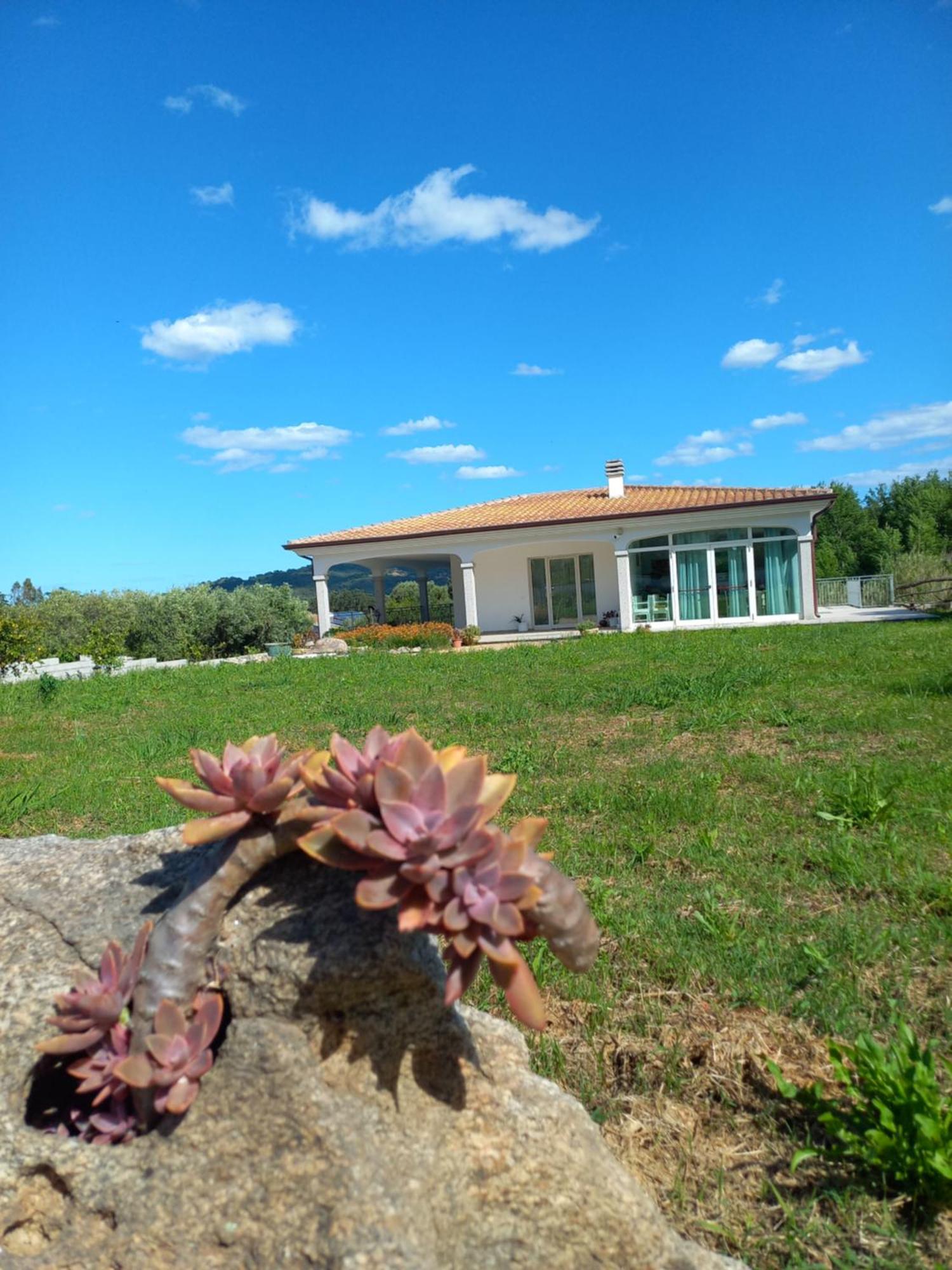 Agriturismo B&B Mares E Montes De Marrante Siniscola Exterior photo